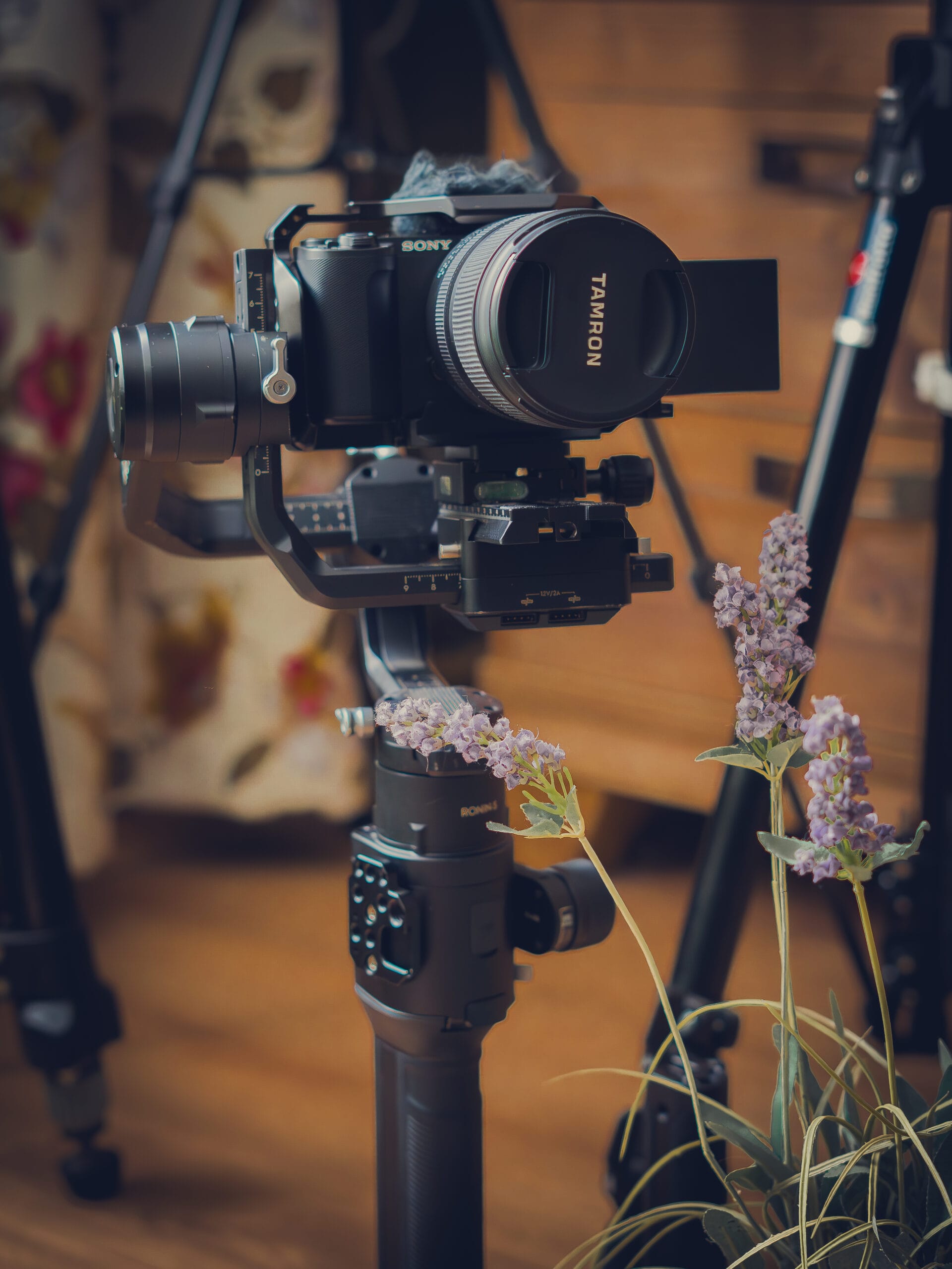 Tekst alternatywny (Alt text):Kamera Sony z obiektywem Tamron na stabilizatorze (gimbal) obok sztucznej lawendy – Obiektywni Studio